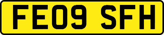 FE09SFH