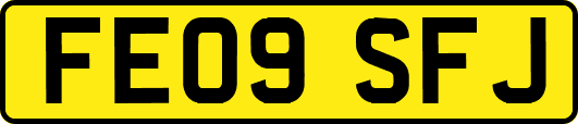 FE09SFJ