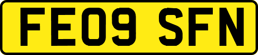 FE09SFN