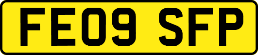 FE09SFP