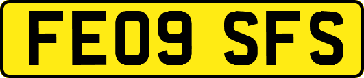 FE09SFS