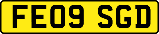 FE09SGD