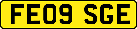 FE09SGE