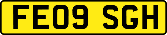 FE09SGH