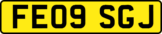 FE09SGJ