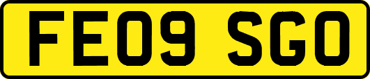 FE09SGO