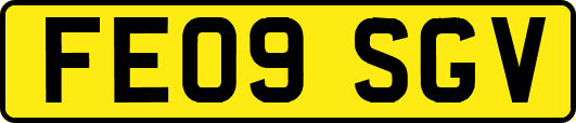 FE09SGV