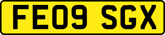 FE09SGX