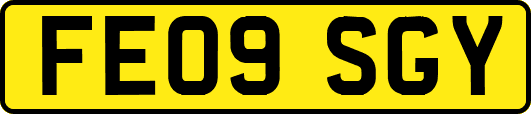 FE09SGY