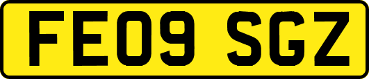 FE09SGZ