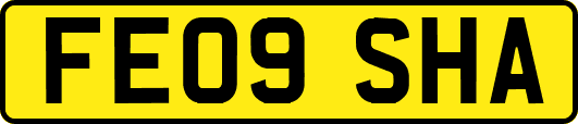 FE09SHA