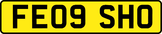 FE09SHO