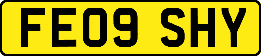 FE09SHY