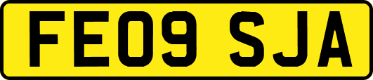 FE09SJA