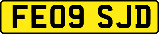 FE09SJD