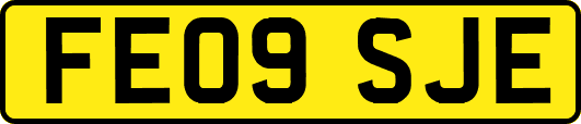 FE09SJE