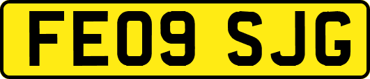 FE09SJG