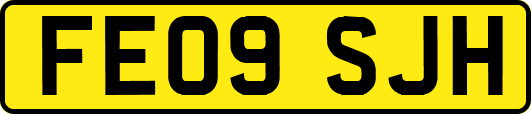 FE09SJH