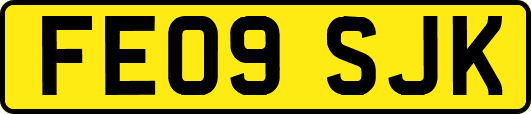 FE09SJK