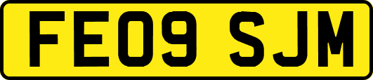FE09SJM
