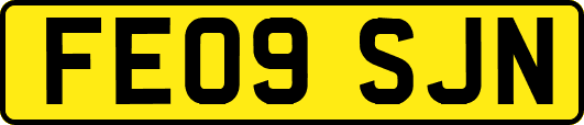FE09SJN