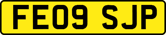 FE09SJP