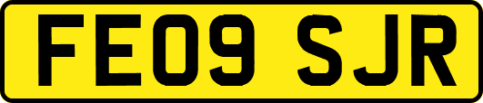 FE09SJR