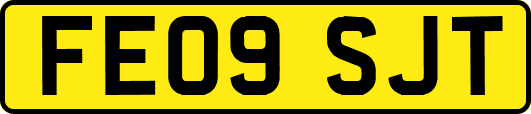 FE09SJT