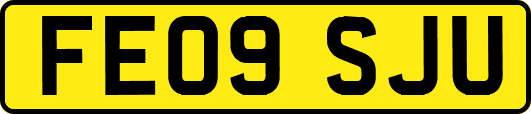 FE09SJU