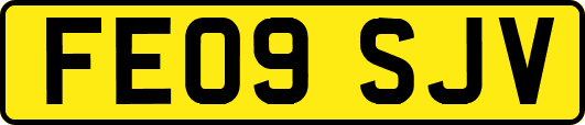 FE09SJV