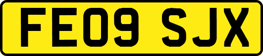 FE09SJX