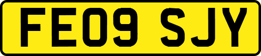 FE09SJY