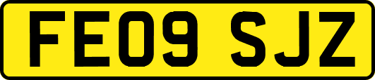 FE09SJZ