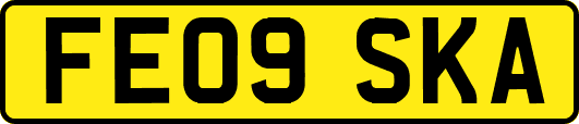 FE09SKA