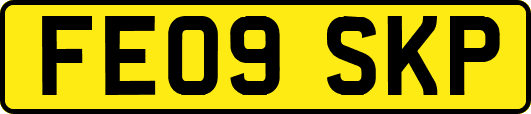 FE09SKP
