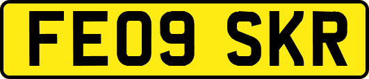 FE09SKR
