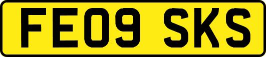 FE09SKS