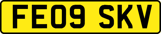 FE09SKV