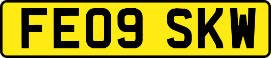 FE09SKW