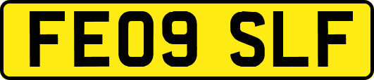 FE09SLF