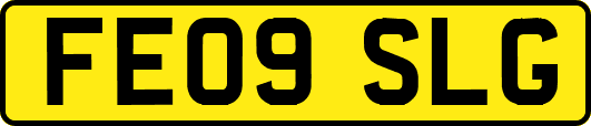 FE09SLG