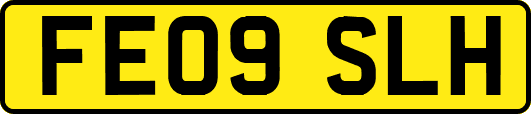 FE09SLH