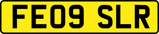 FE09SLR