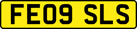 FE09SLS