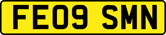 FE09SMN
