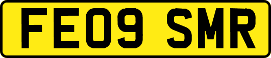 FE09SMR