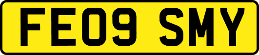 FE09SMY