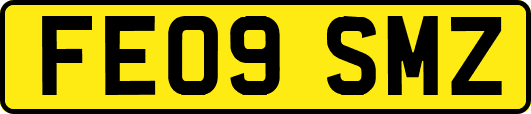 FE09SMZ