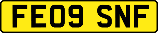 FE09SNF