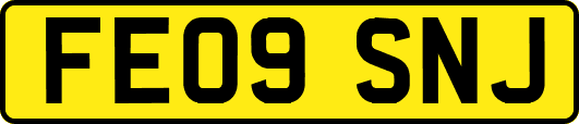 FE09SNJ